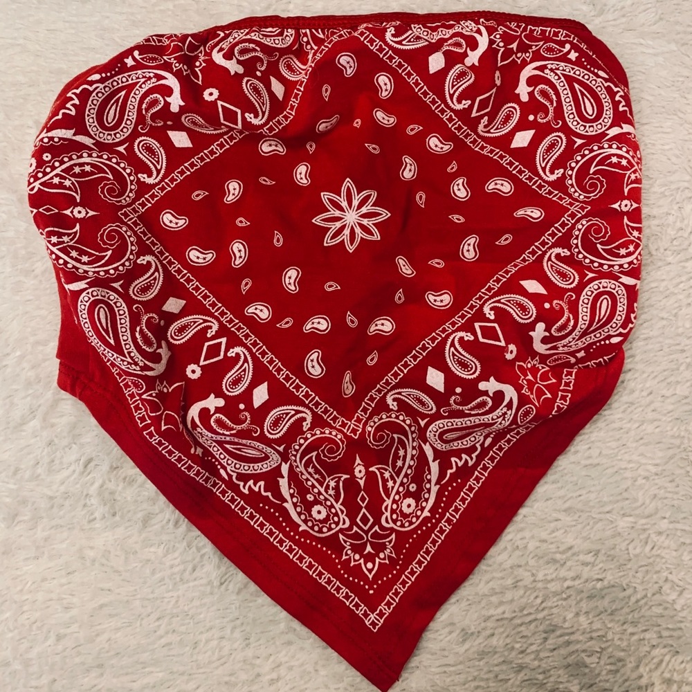 Bandana crop top